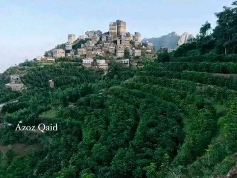 المدرجات الزراعية اليمنية:  المعجزة الإنسانية الأولى في تاريخ البشرية